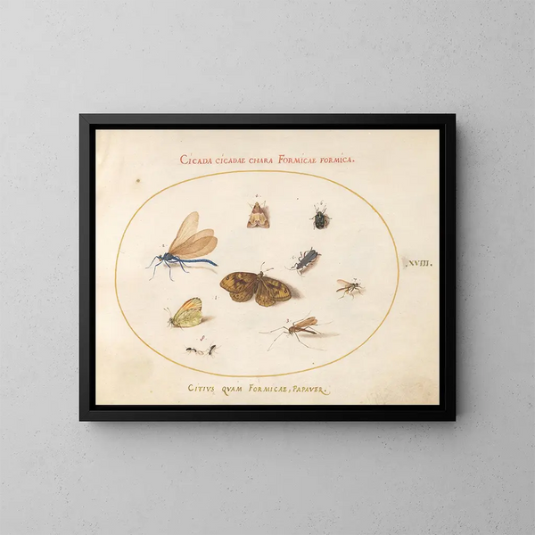 Planche 18: Twee vlinders en een mot met een dametje, twee mieren en vier andere insecten - Joris Hoefnagel — ingelijst kunstwerk aan de muur