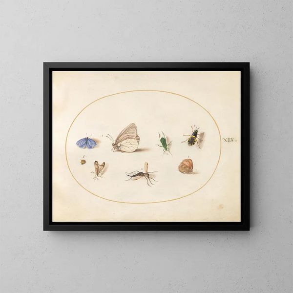Platine 19 Twee vlinders met nog vijf insecten - Joris Hoefnagel — ingelijst kunstwerk aan de muur