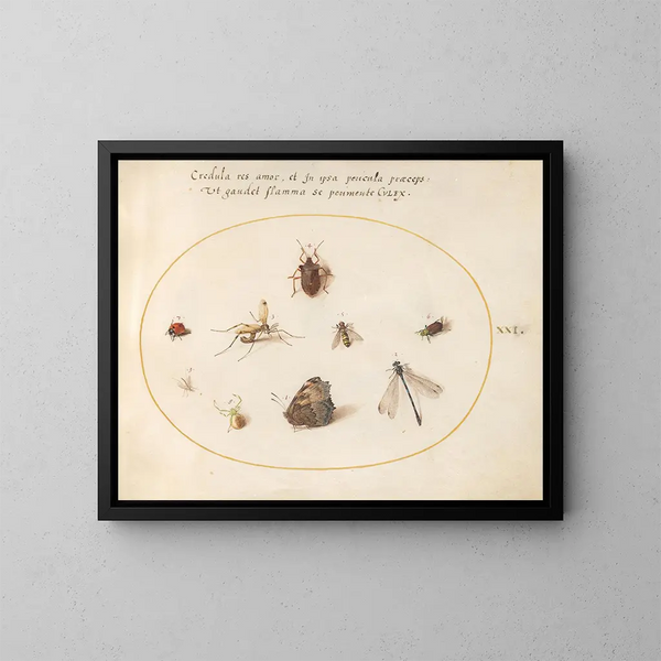 Platine 21 Een vlinder met een libel, een lieveheersbeestje en vijf andere insecten - Joris Hoefnagel — ingelijst kunstwerk aan de muur