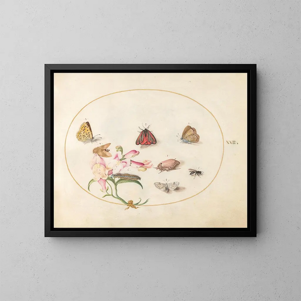 Platine 22: Een cinnaberkever en een keizerlibel met vlinders, andere insecten en een wolfskop - Joris Hoefnagel — ingelijst kunstwerk aan de muur