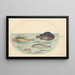 Planche 24 Grondin volant Hirondelle Lumpsucker mâle Poisson-trompette à longues épines et autres poissons - Joris Hoefnagel — ingelijst kunstwerk aan de muur