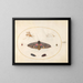 Platina 27 Een Sfinx met ogen, twee rupsjes en andere insecten - Joris Hoefnagel — ingelijst kunstwerk aan de muur
