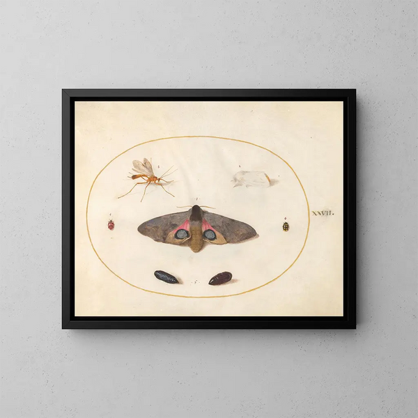 Platina 27 Een Sfinx met ogen, twee rupsjes en andere insecten - Joris Hoefnagel — ingelijst kunstwerk aan de muur