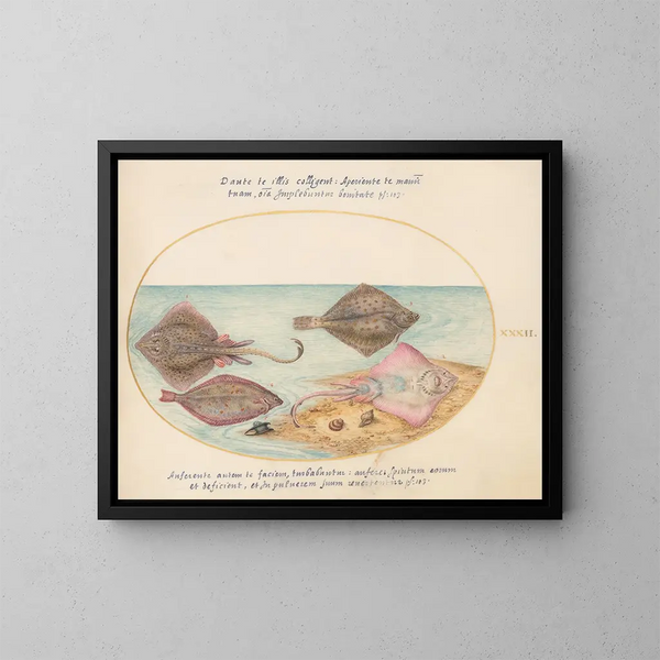 Planche 32: Raies avec un œuf et deux poissons plats - Joris Hoefnagel — ingelijst kunstwerk aan de muur