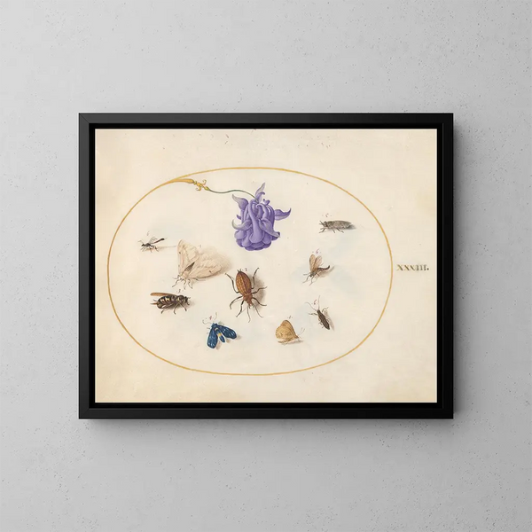 Platine 33 Nachtvlinder en vlinder met andere insecten en een kolombloem - Joris Hoefnagel — ingelijst kunstwerk aan de muur