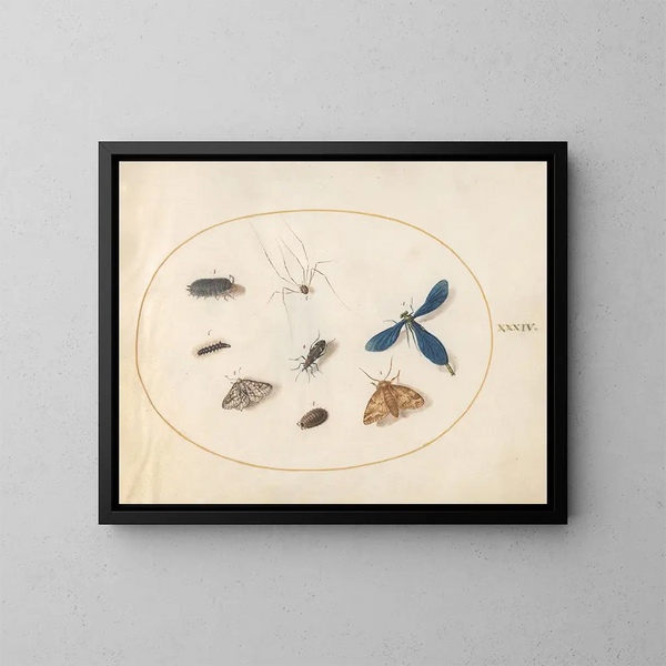 Planche 34 Twee motten met een spin, een rups, een libel en andere insecten - Joris Hoefnagel — ingelijst kunstwerk aan de muur