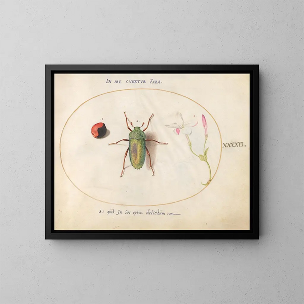 Plaque 42: Sieraadscarabee met een rozenkranspunt en een oleanderbloem - Joris Hoefnagel — ingelijst kunstwerk aan de muur