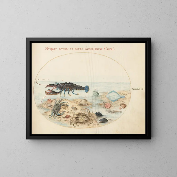 Platine 44 Homard, deux crabes, coquilles de pétoncle et autres formes de vie marine - Joris Hoefnagel — ingelijst kunstwerk aan de muur