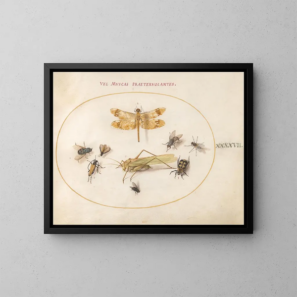 Plant 47 Een libel, een pantserjuffer, sprinkhanen, huisvliegen, een necrofage kever, een bloemrijke langhorentje en andere insecten - Joris Hoefnagel — ingelijst kunstwerk aan de muur
