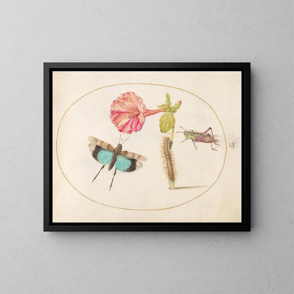 Platine 51 Sauterelles et une chenille avec une fleur de quatre heures - Joris Hoefnagel — ingelijst kunstwerk aan de muur