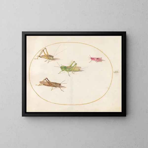 Platine 52 Quatre sauterelles - Joris Hoefnagel — ingelijst kunstwerk aan de muur