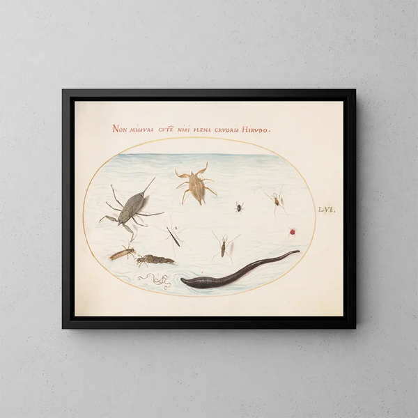 Planches 56: Waterkreeft, watermeter, poelzwemmer, rode mijt, bloedzuiger en andere waterinsecten - Joris Hoefnagel — ingelijst kunstwerk aan de muur