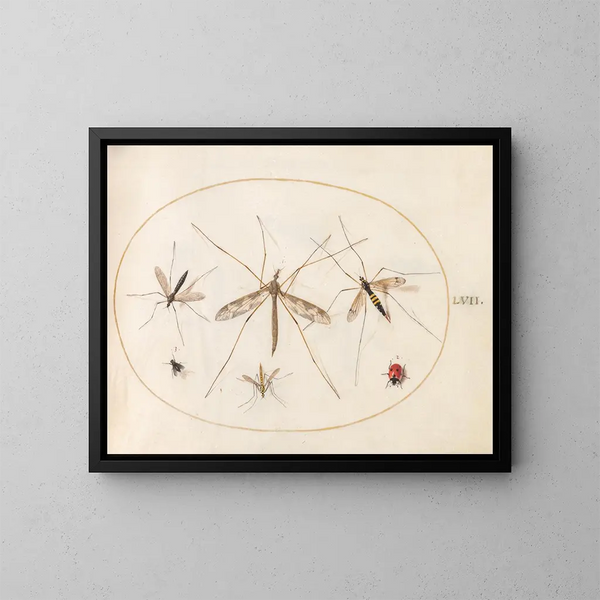 Platine 57 Een lieveheersbeestje, een vlieg en vier andere insecten - Joris Hoefnagel — ingelijst kunstwerk aan de muur