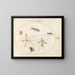 Platine 58 Een bij en vijf andere insecten - Joris Hoefnagel — ingelijst kunstwerk aan de muur