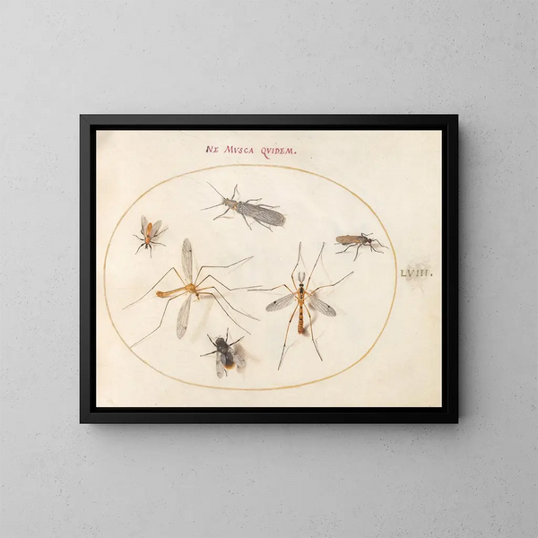 Platine 58 Een bij en vijf andere insecten - Joris Hoefnagel — ingelijst kunstwerk aan de muur