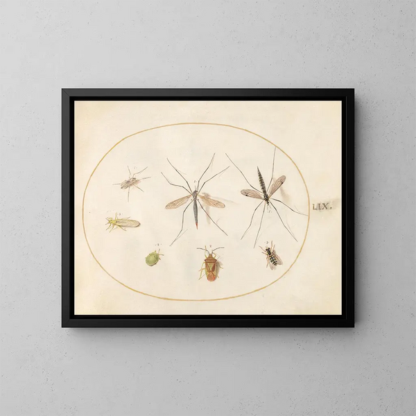 Platina 59 Sept insecten, waaronder een insect-schil van de meidoorn, muggen en een zweefvlieg - Joris Hoefnagel — ingelijst kunstwerk aan de muur