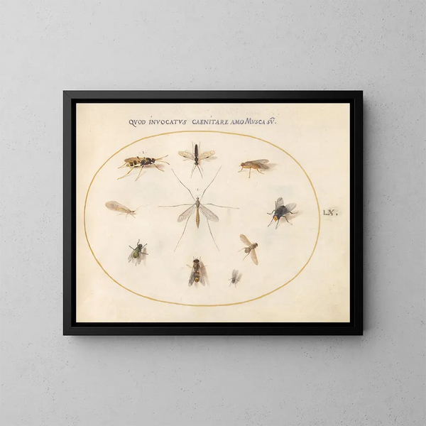 Plant 60 Vliegen en andere insecten - Joris Hoefnagel — ingelijst kunstwerk aan de muur