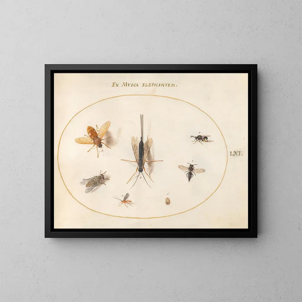 Platina 61 Sept insecten waaronder vliegen - Joris Hoefnagel — ingelijst kunstwerk aan de muur