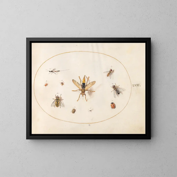 Platine 62 Dix insecten - Joris Hoefnagel — ingelijst kunstwerk aan de muur