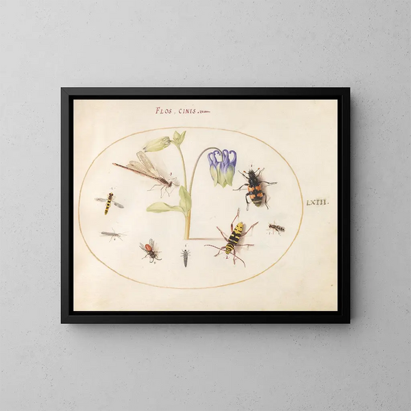 Plant 63 Een libel, een gestippelde langpootmug, een necrophore en andere insecten met een blauwe en witte columbine - Joris Hoefnagel — ingelijst kunstwerk aan de muur