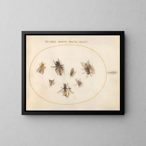 Platina 68 Septen bijen en vliegen - Joris Hoefnagel — ingelijst kunstwerk aan de muur