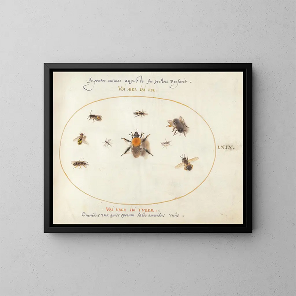 Platine 69 Nieuw bijen en andere insecten - Joris Hoefnagel — ingelijst kunstwerk aan de muur