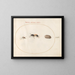 Platine 71 Twee wespen en een cavia - Joris Hoefnagel — ingelijst kunstwerk aan de muur