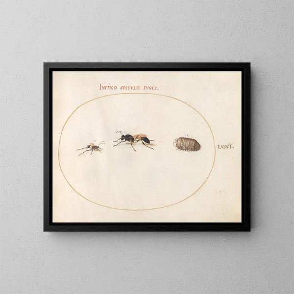 Platine 71 Twee wespen en een cavia - Joris Hoefnagel — ingelijst kunstwerk aan de muur