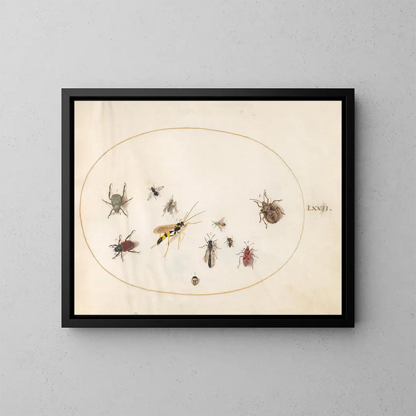 Platine 72: Schildpadspelden, kaneelspeld, wesp en andere insecten - Joris Hoefnagel — ingelijst kunstwerk aan de muur