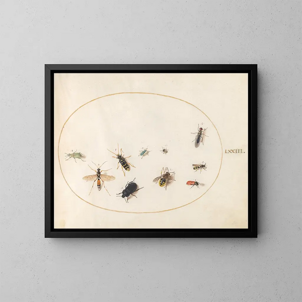 Platine 73 Dix insecten - Joris Hoefnagel — ingelijst kunstwerk aan de muur