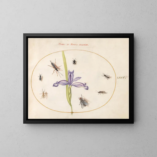 Platine 75 Een vlieg en andere insecten met een iris - Joris Hoefnagel — ingelijst kunstwerk aan de muur