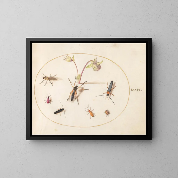 Plant 76 Insecten met een roze en roomkleurige anemoon - Joris Hoefnagel — ingelijst kunstwerk aan de muur