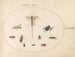 Planche 78 Tien insecten, waaronder een blauwe vlieg - Joris Hoefnagel — weergave van het kunstwerk