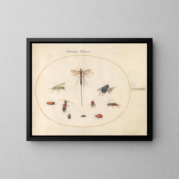 Planche 78 Tien insecten, waaronder een blauwe vlieg - Joris Hoefnagel — ingelijst kunstwerk aan de muur