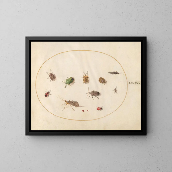 Platine 79 Twaalf insecten, waaronder luizen - Joris Hoefnagel — ingelijst kunstwerk aan de muur