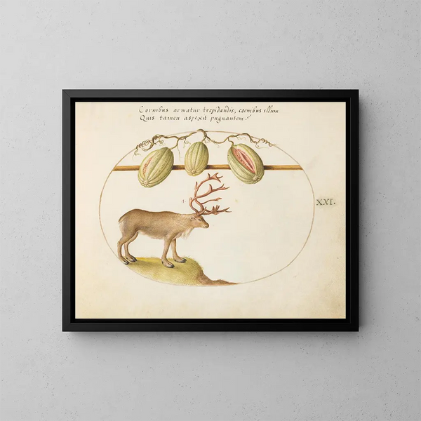 hert met meloenen - Joris Hoefnagel — ingelijst kunstwerk aan de muur