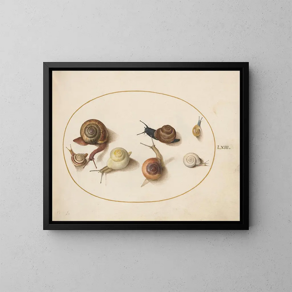 Zeven slakken - Joris Hoefnagel — ingelijst kunstwerk aan de muur