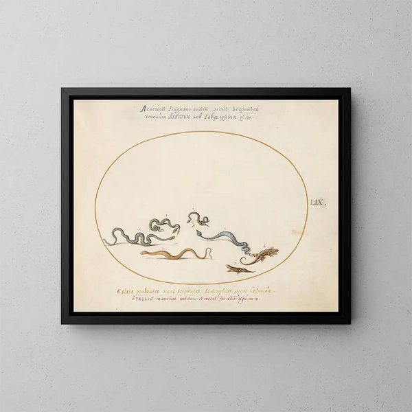 van Serpents et un lézard - Joris Hoefnagel — ingelijst kunstwerk aan de muur