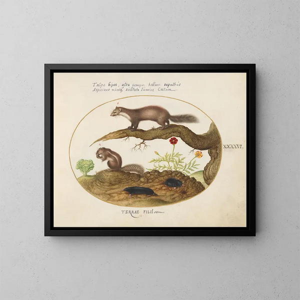 Fouine, tamia en mollen met een zorgen en sla met een salade - Joris Hoefnagel — ingelijst kunstwerk aan de muur