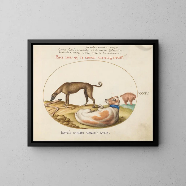 Drie honden, waarvan één imitator - Joris Hoefnagel — ingelijst kunstwerk aan de muur