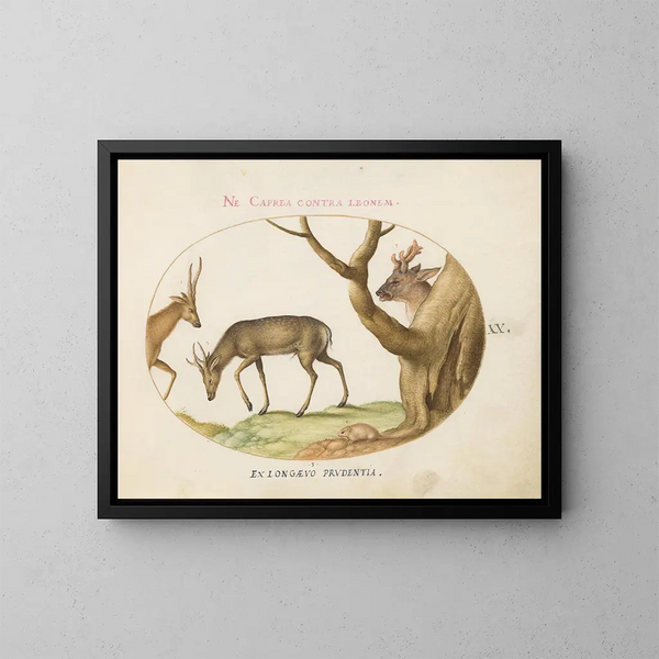 Drie soorten herten met een eekhoorn - Joris Hoefnagel — ingelijst kunstwerk aan de muur
