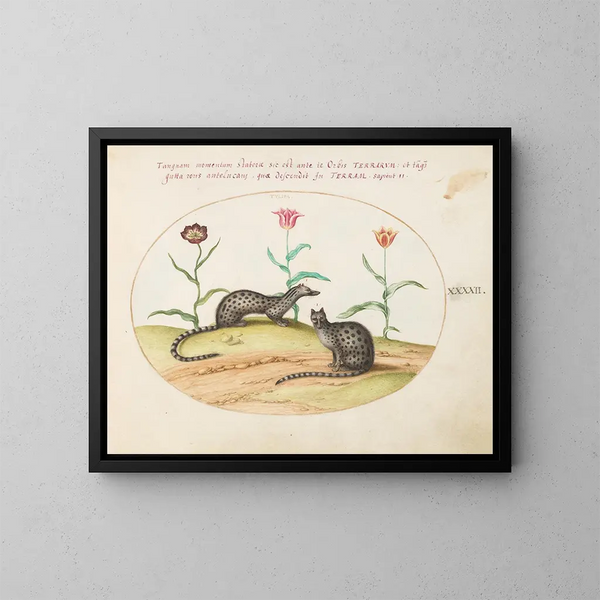 van Twee genets of civetten met tulpen - Joris Hoefnagel — ingelijst kunstwerk aan de muur