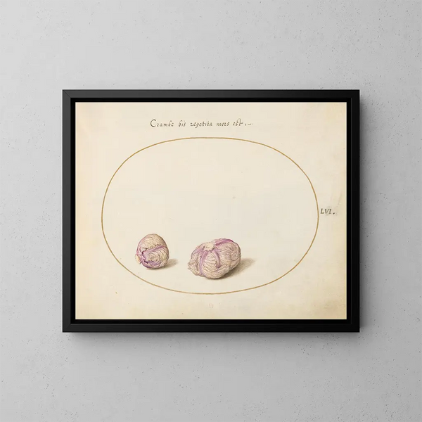 van twee koolkoppen - Joris Hoefnagel — ingelijst kunstwerk aan de muur