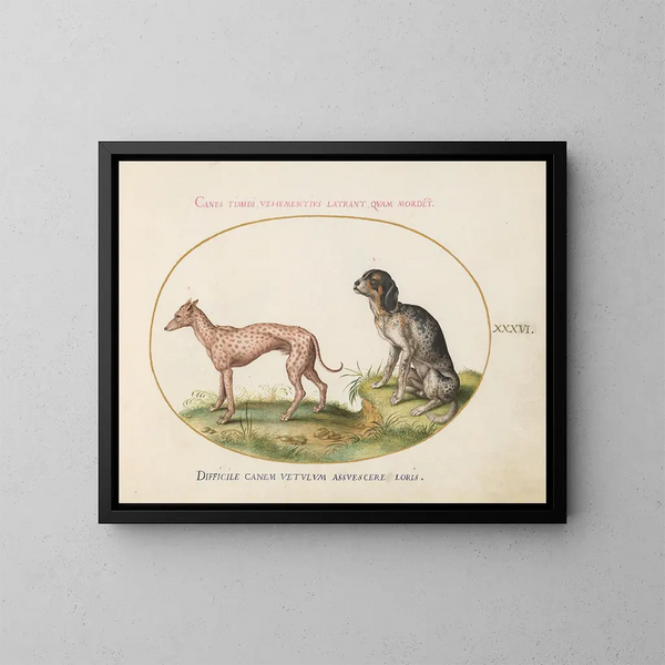 Twee gevlekte honden - Joris Hoefnagel — ingelijst kunstwerk aan de muur