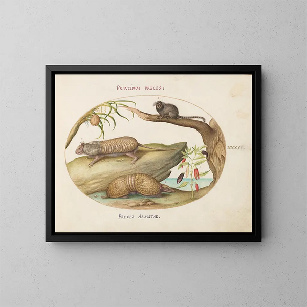 Twee soorten gordeldieren met een ouistiti, een kokospalm en een peperplant - Joris Hoefnagel — ingelijst kunstwerk aan de muur