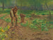 Aardappeloogst - Josef Kinzel — weergave van het kunstwerk