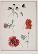 Flower Painting - Josef Lauer — artwork view