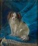 Portret van een heer - Josef Melling — weergave van het kunstwerk