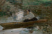 Dame in een boot - Josef Schusser — weergave van het kunstwerk
