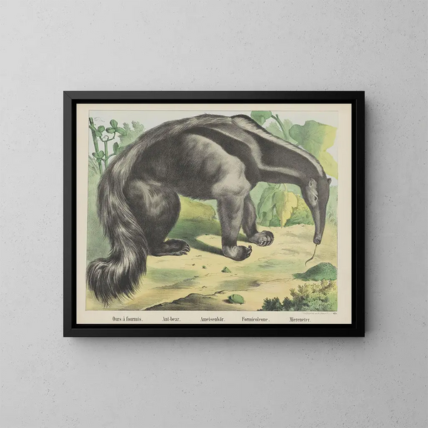 Miereneter - Joseph Scholz — ingelijst kunstwerk aan de muur